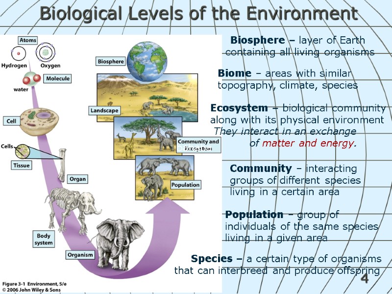 4 Biological Levels of the Environment Ecosystem – biological community along with its physical